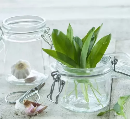 Anti-Spasmodic Herbal Enemas