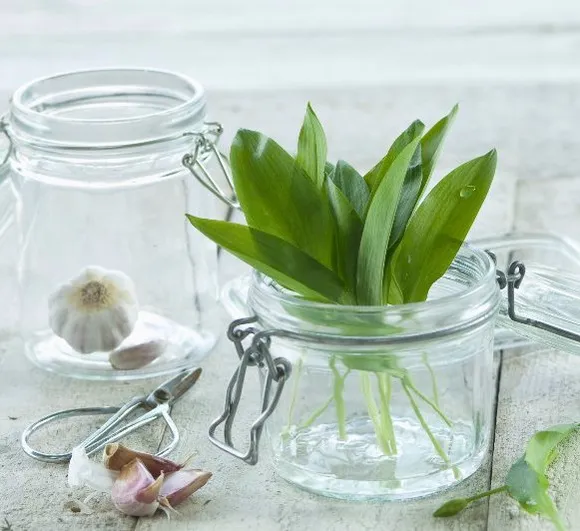 Anti-Spasmodic Herbal Enemas